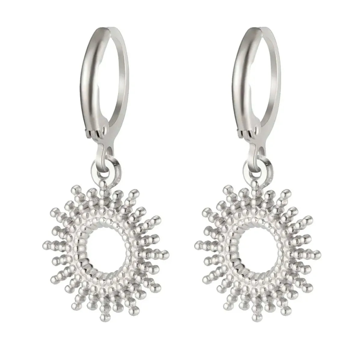 Stainless Steel Earrings