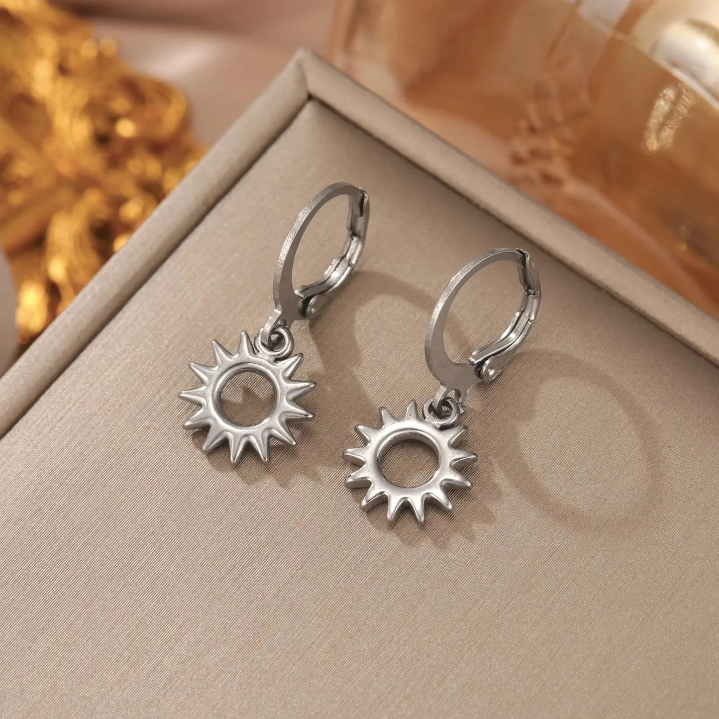 Stainless Steel Earrings