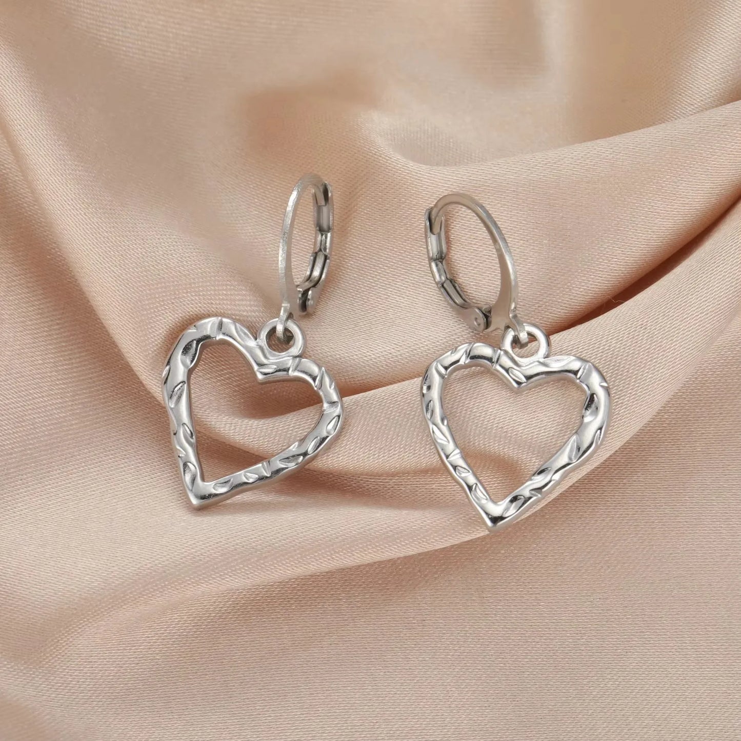 Stainless Steel Earrings