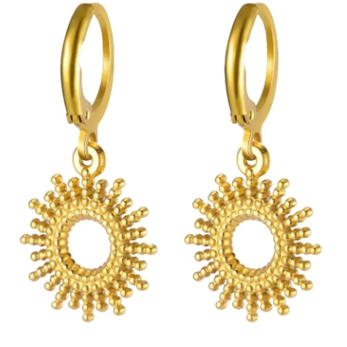 Stainless Steel Earrings